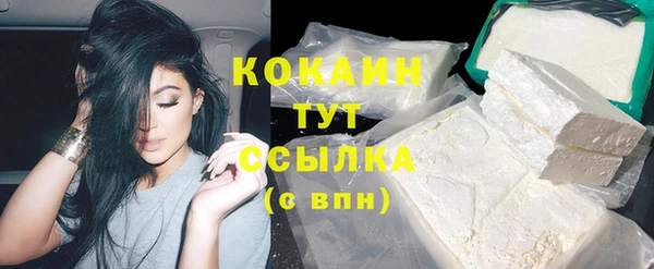 гидра Каменка