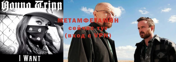 сатива Каменногорск