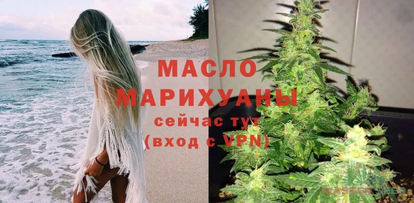 гидра Каменка
