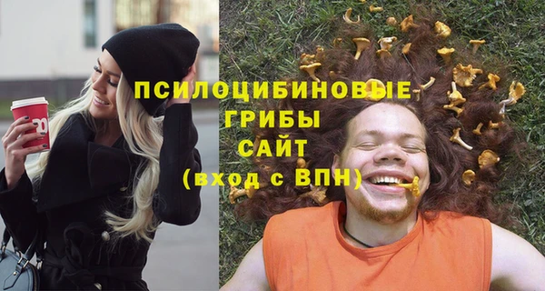 сатива Каменногорск