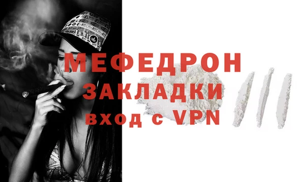 гидра Каменка