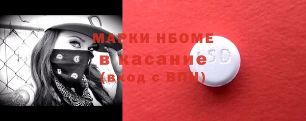 гидра Каменка