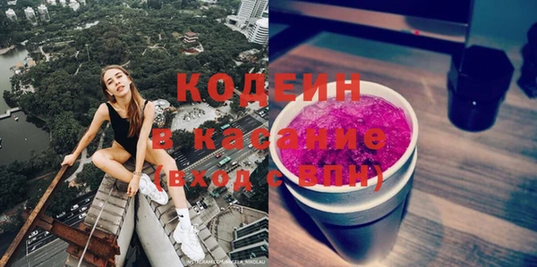 гидра Каменка