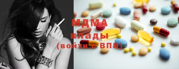 гидра Каменка