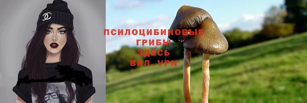 дмт Касимов
