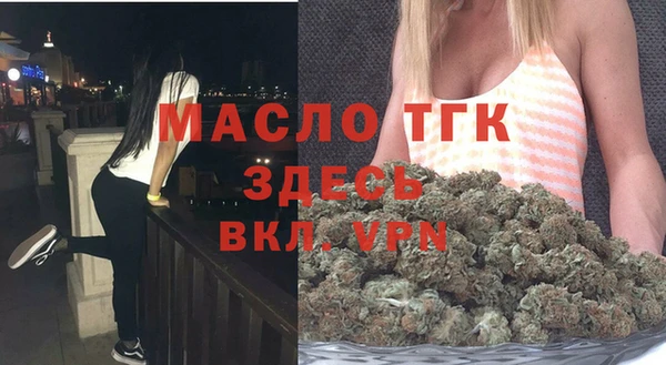 сатива Каменногорск