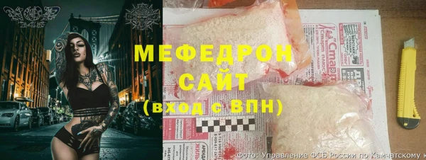 гидра Каменка