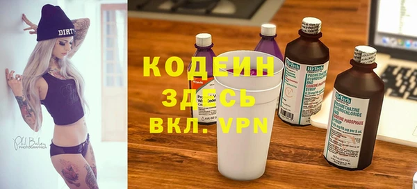 гидра Каменка