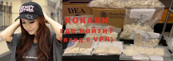 гидра Каменка