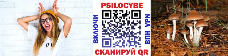 Псилоцибиновые грибы Psilocybine cubensis  Верхняя Пышма 