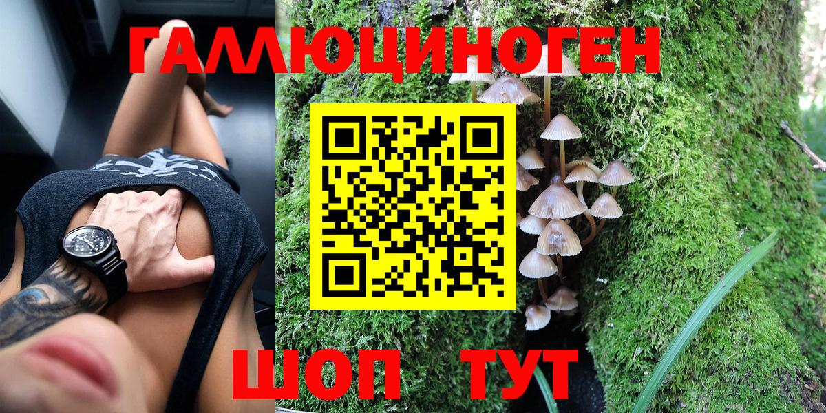 Верхняя Пышма  Псилоцибиновые грибы мухоморы  Вход с VPN  Галлюциногенные грибы MAGIC MUSHROOMS 