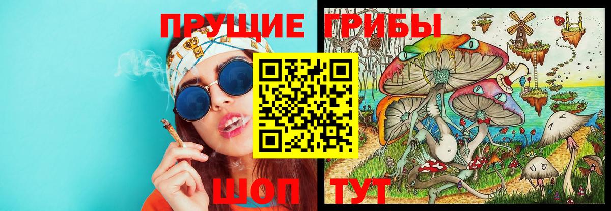 Галлюциногенные грибы Magic Shrooms Верхняя Пышма