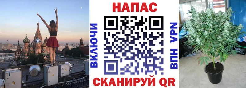 Канабис THC 21% Верхняя Пышма